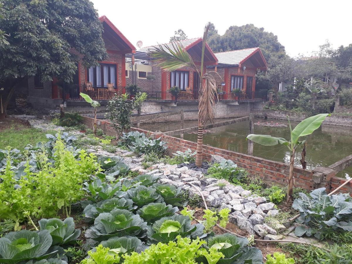 Chez Hiep Tam Coc Homestay Νιν Μπιν Εξωτερικό φωτογραφία